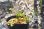 画像2: 緑八重咲きバイカカラマツ (2)